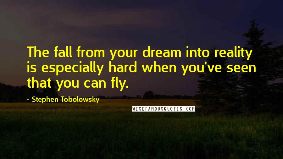 Stephen Tobolowsky Quotes: The fall from your dream into reality is especially hard when you've seen that you can fly.