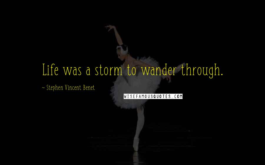 Stephen Vincent Benet Quotes: Life was a storm to wander through.