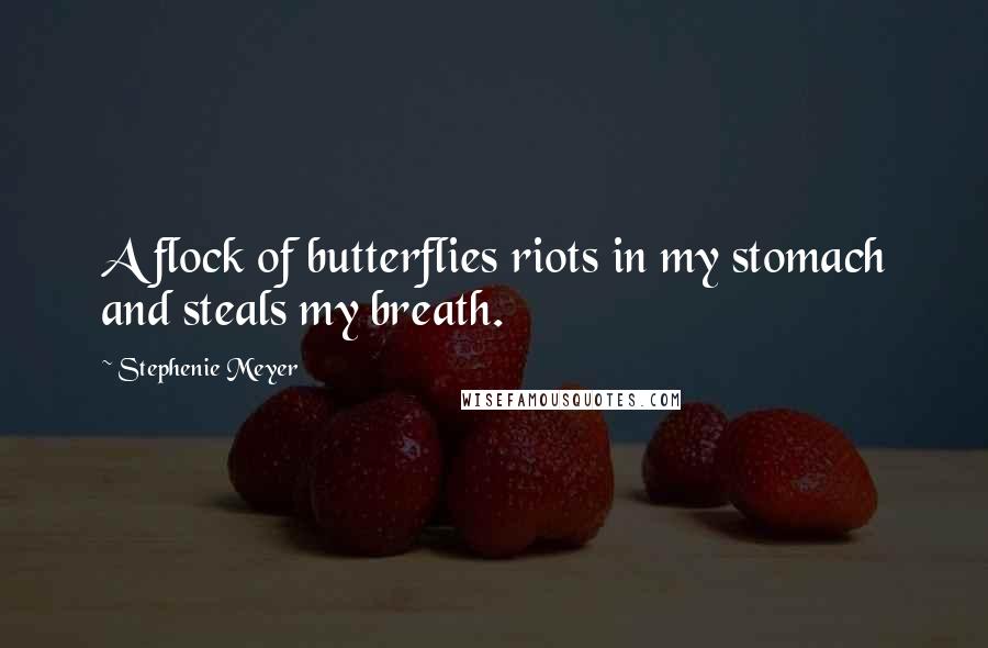 Stephenie Meyer Quotes: A flock of butterflies riots in my stomach and steals my breath.