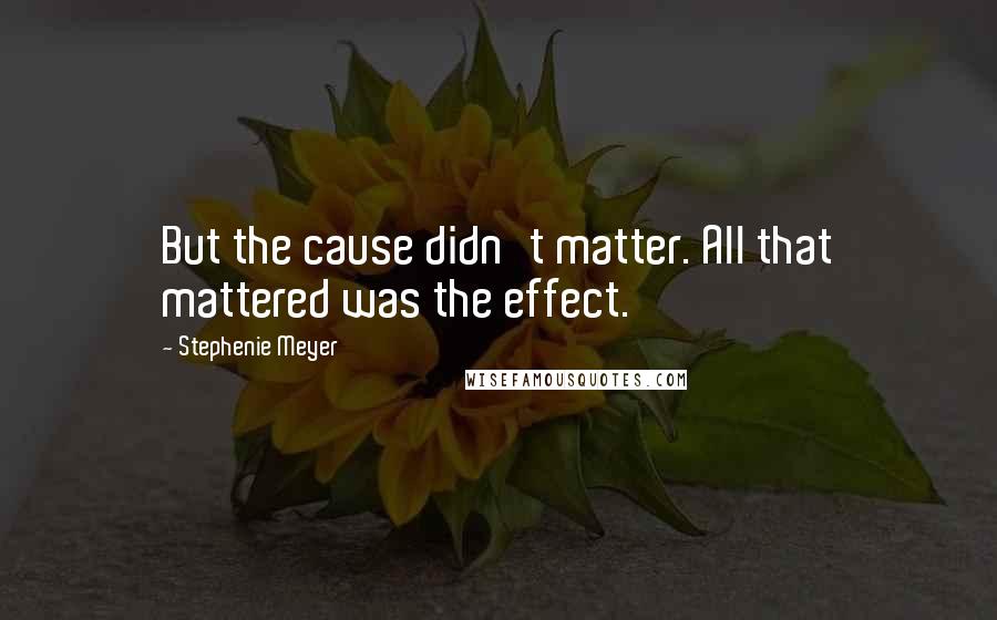 Stephenie Meyer Quotes: But the cause didn't matter. All that mattered was the effect.