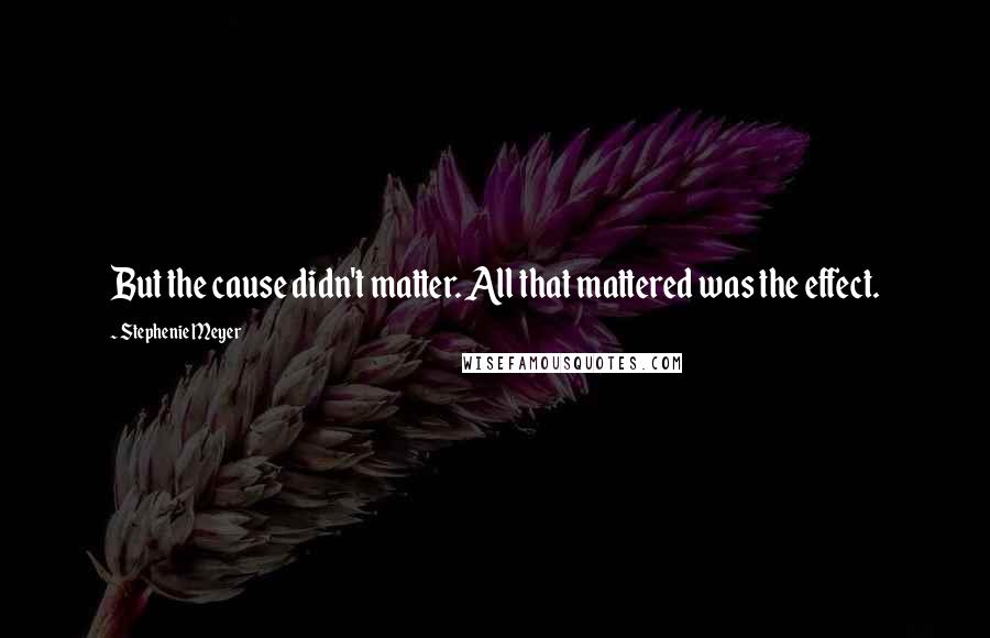 Stephenie Meyer Quotes: But the cause didn't matter. All that mattered was the effect.