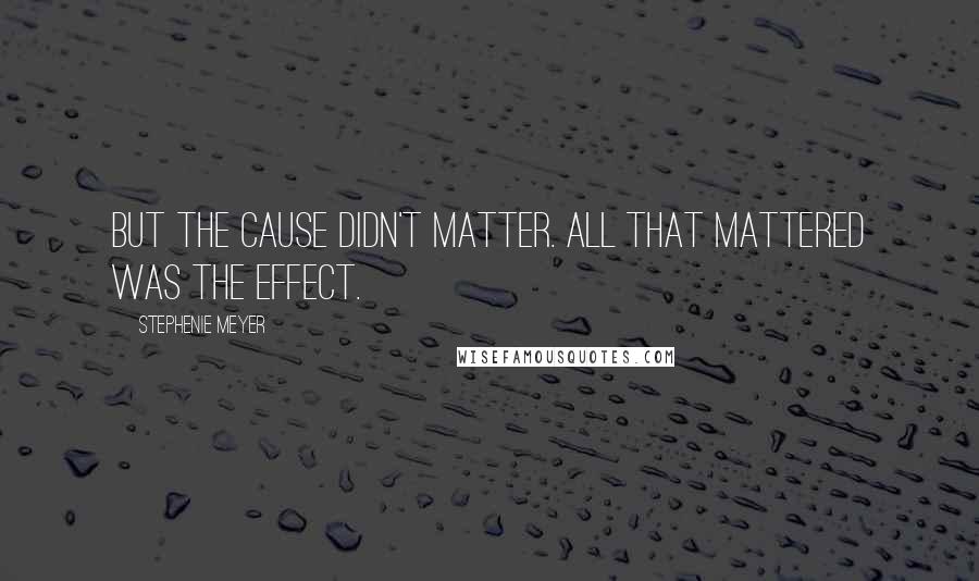 Stephenie Meyer Quotes: But the cause didn't matter. All that mattered was the effect.