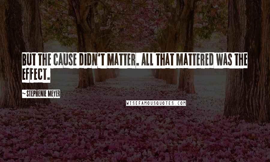Stephenie Meyer Quotes: But the cause didn't matter. All that mattered was the effect.