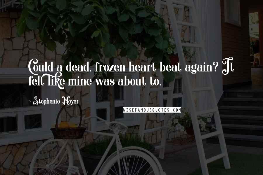 Stephenie Meyer Quotes: Could a dead, frozen heart beat again? It felt like mine was about to.