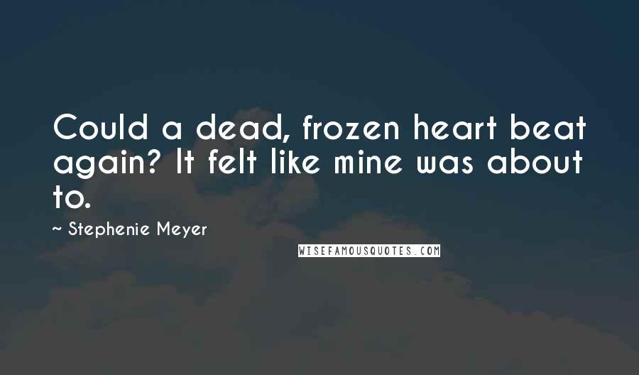 Stephenie Meyer Quotes: Could a dead, frozen heart beat again? It felt like mine was about to.