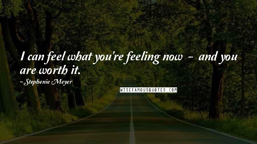 Stephenie Meyer Quotes: I can feel what you're feeling now  -  and you are worth it.