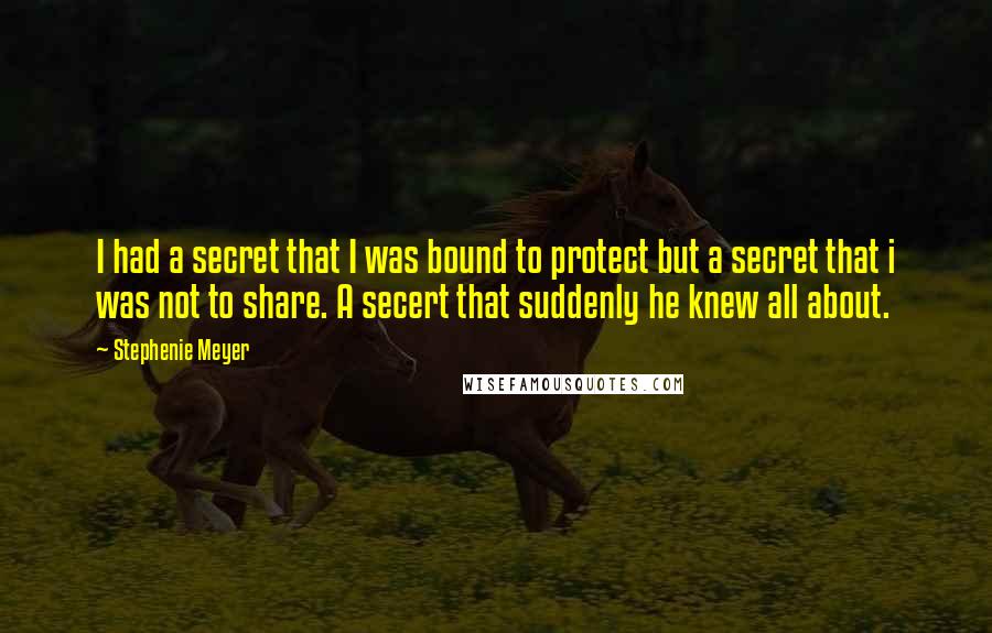 Stephenie Meyer Quotes: I had a secret that I was bound to protect but a secret that i was not to share. A secert that suddenly he knew all about.