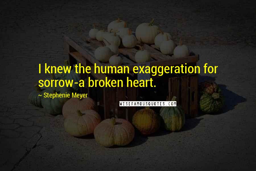Stephenie Meyer Quotes: I knew the human exaggeration for sorrow-a broken heart.
