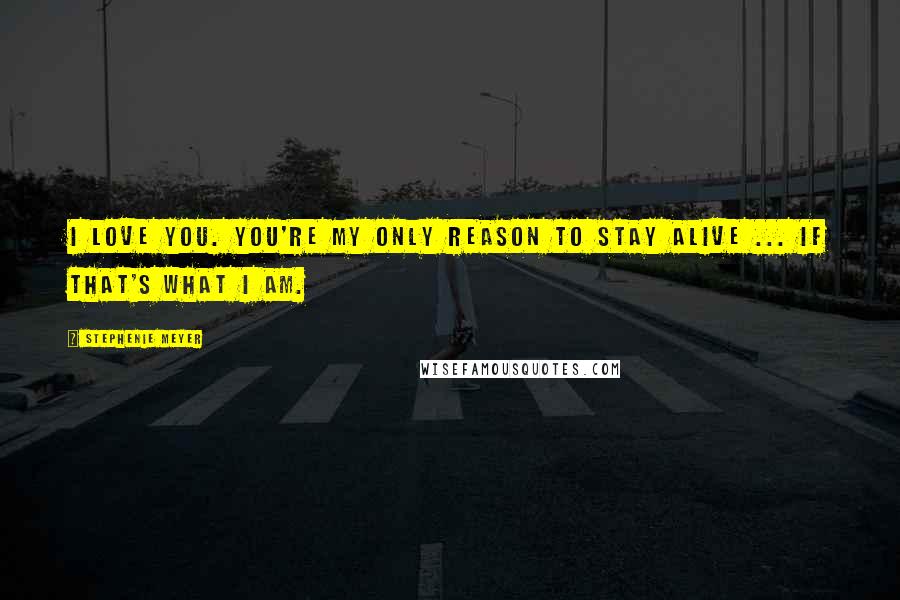 Stephenie Meyer Quotes: I love you. You're my only reason to stay alive ... if that's what I am.
