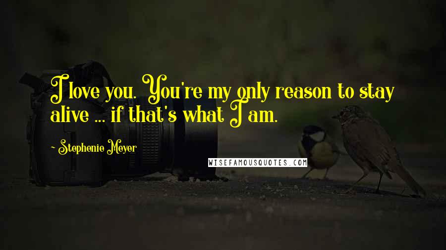 Stephenie Meyer Quotes: I love you. You're my only reason to stay alive ... if that's what I am.