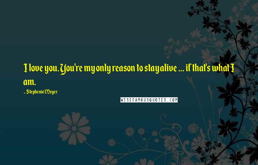 Stephenie Meyer Quotes: I love you. You're my only reason to stay alive ... if that's what I am.