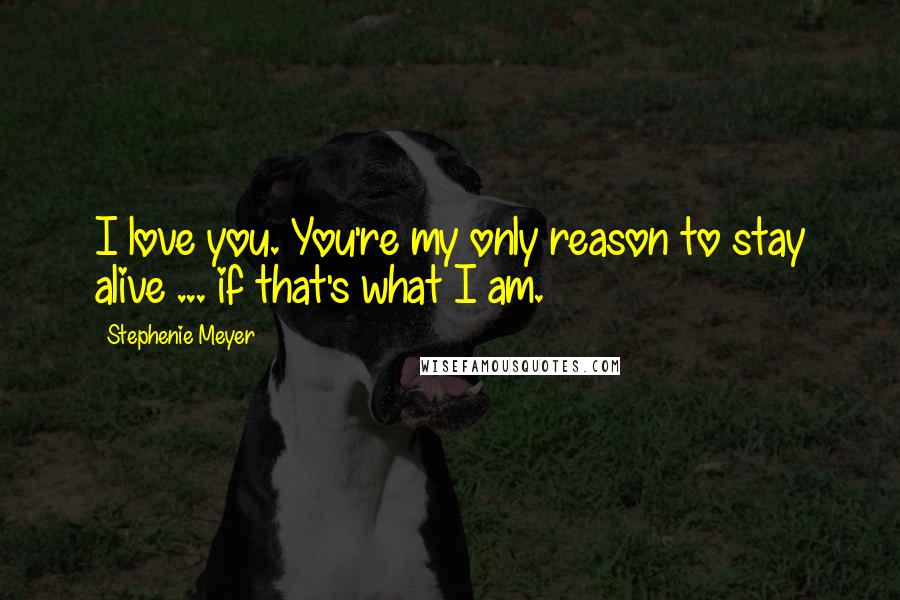 Stephenie Meyer Quotes: I love you. You're my only reason to stay alive ... if that's what I am.