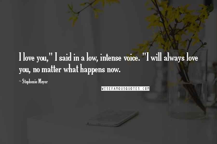 Stephenie Meyer Quotes: I love you," I said in a low, intense voice. "I will always love you, no matter what happens now.