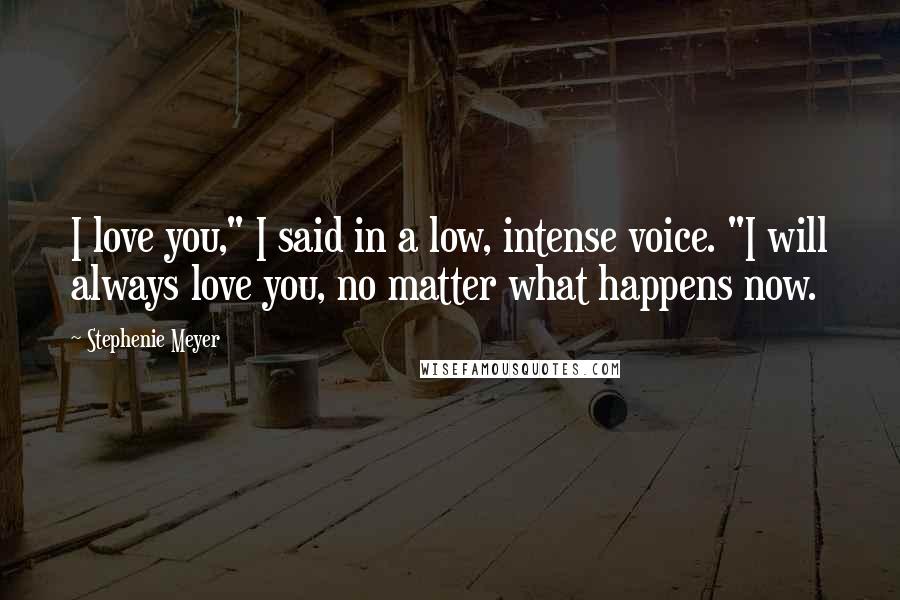 Stephenie Meyer Quotes: I love you," I said in a low, intense voice. "I will always love you, no matter what happens now.