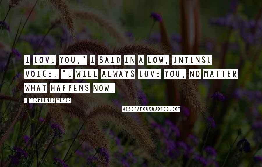 Stephenie Meyer Quotes: I love you," I said in a low, intense voice. "I will always love you, no matter what happens now.