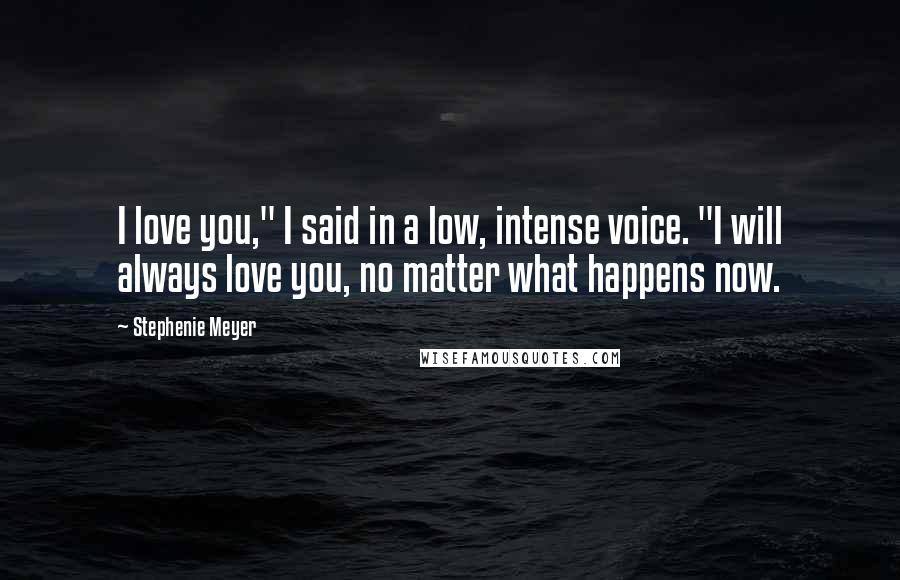 Stephenie Meyer Quotes: I love you," I said in a low, intense voice. "I will always love you, no matter what happens now.