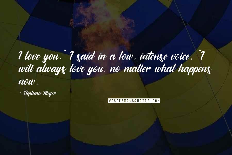 Stephenie Meyer Quotes: I love you," I said in a low, intense voice. "I will always love you, no matter what happens now.