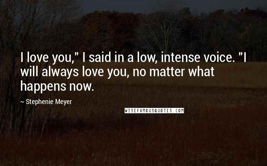 Stephenie Meyer Quotes: I love you," I said in a low, intense voice. "I will always love you, no matter what happens now.