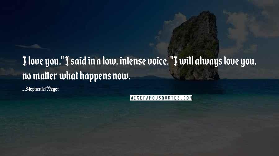 Stephenie Meyer Quotes: I love you," I said in a low, intense voice. "I will always love you, no matter what happens now.