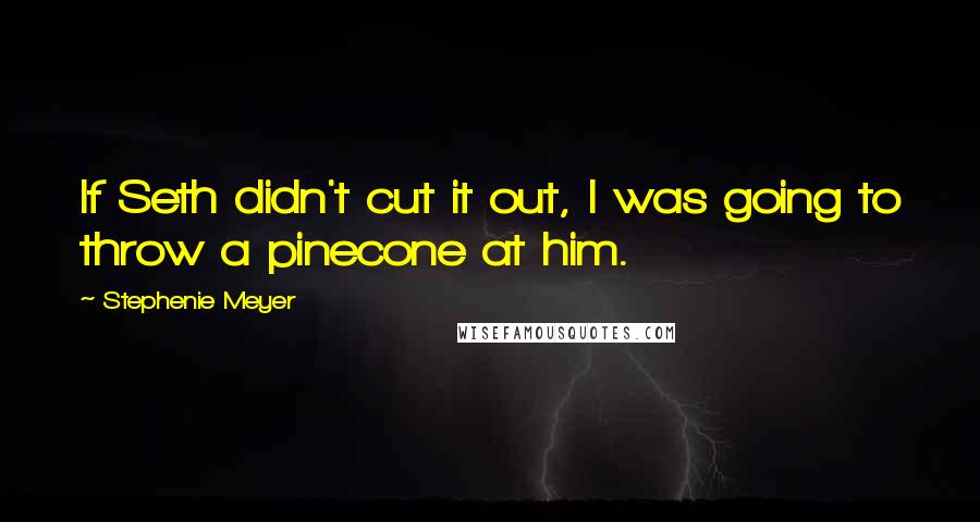 Stephenie Meyer Quotes: If Seth didn't cut it out, I was going to throw a pinecone at him.