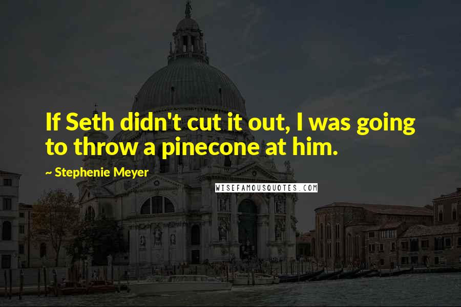 Stephenie Meyer Quotes: If Seth didn't cut it out, I was going to throw a pinecone at him.
