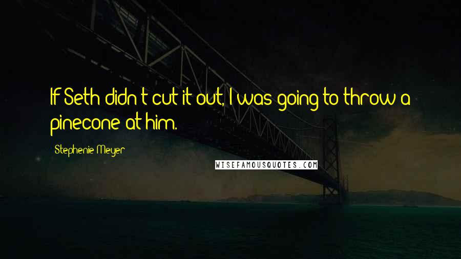 Stephenie Meyer Quotes: If Seth didn't cut it out, I was going to throw a pinecone at him.