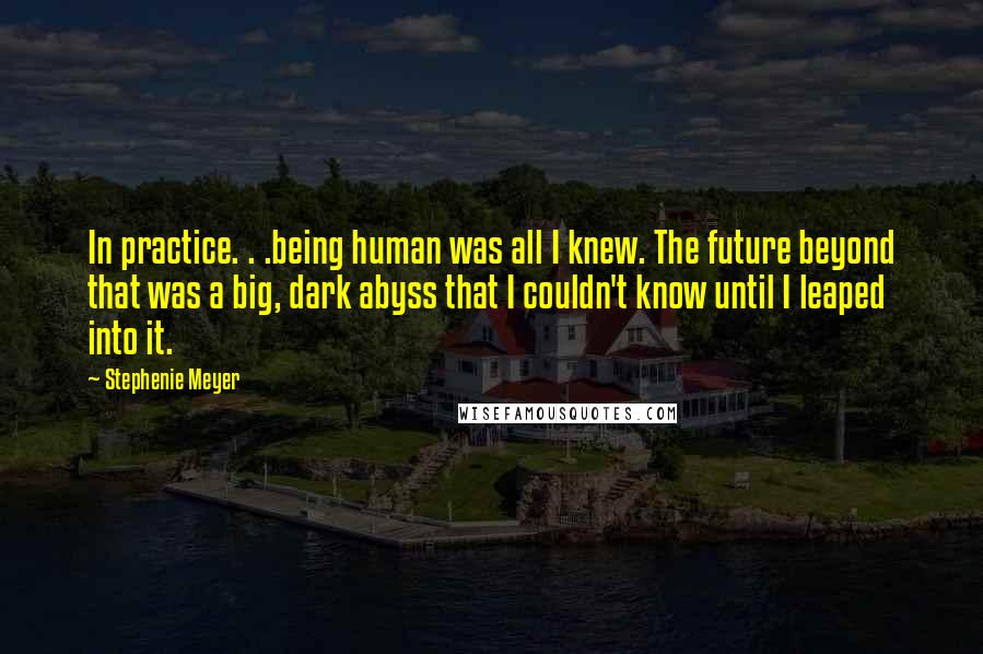 Stephenie Meyer Quotes: In practice. . .being human was all I knew. The future beyond that was a big, dark abyss that I couldn't know until I leaped into it.