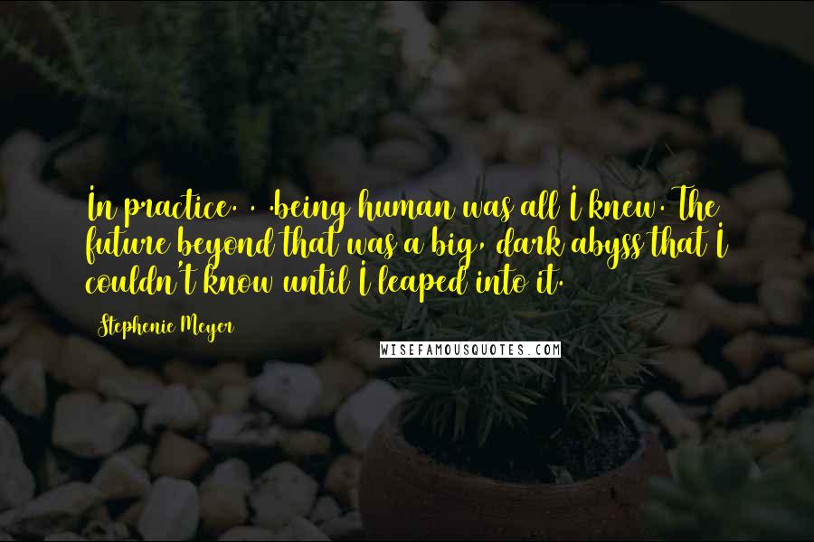 Stephenie Meyer Quotes: In practice. . .being human was all I knew. The future beyond that was a big, dark abyss that I couldn't know until I leaped into it.