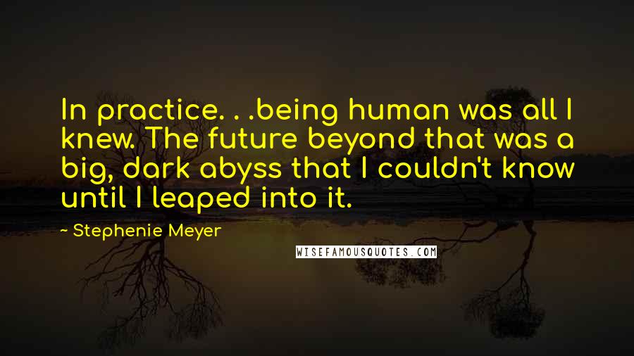 Stephenie Meyer Quotes: In practice. . .being human was all I knew. The future beyond that was a big, dark abyss that I couldn't know until I leaped into it.