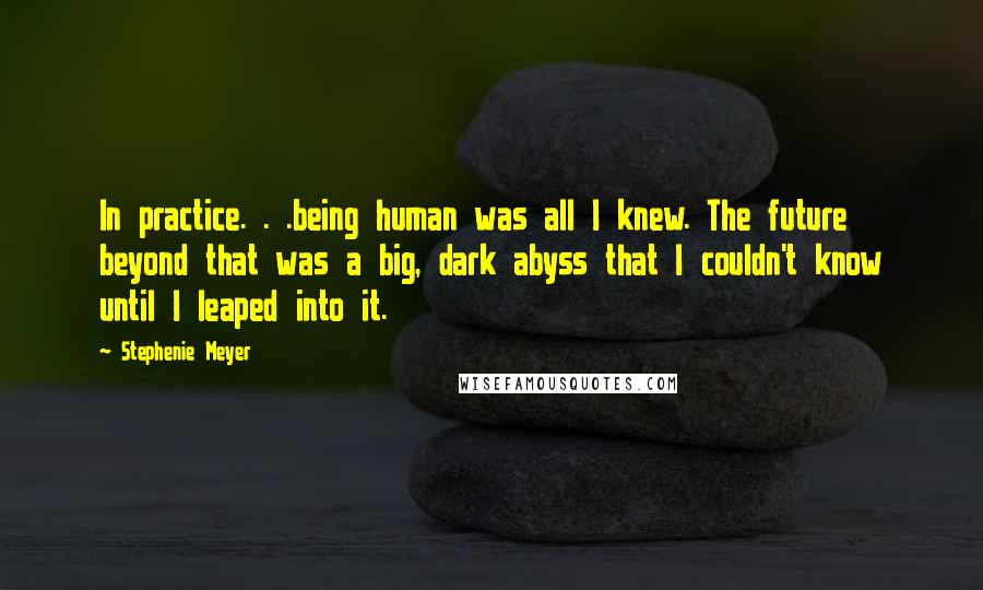 Stephenie Meyer Quotes: In practice. . .being human was all I knew. The future beyond that was a big, dark abyss that I couldn't know until I leaped into it.