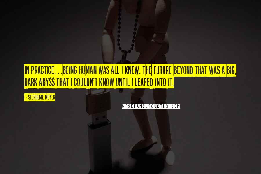 Stephenie Meyer Quotes: In practice. . .being human was all I knew. The future beyond that was a big, dark abyss that I couldn't know until I leaped into it.