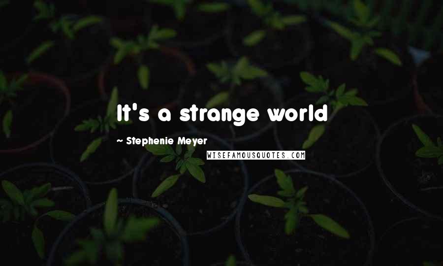 Stephenie Meyer Quotes: It's a strange world