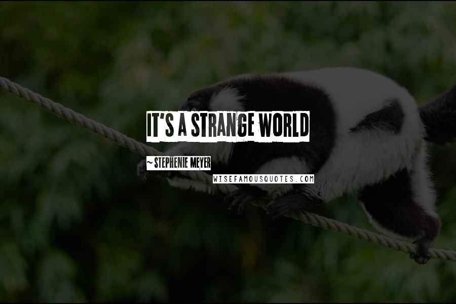 Stephenie Meyer Quotes: It's a strange world