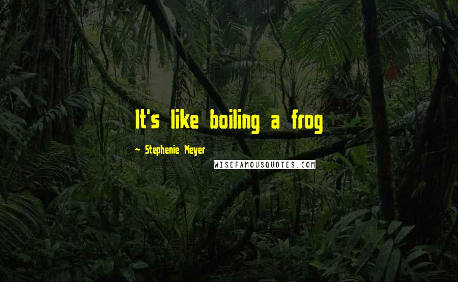 Stephenie Meyer Quotes: It's like boiling a frog