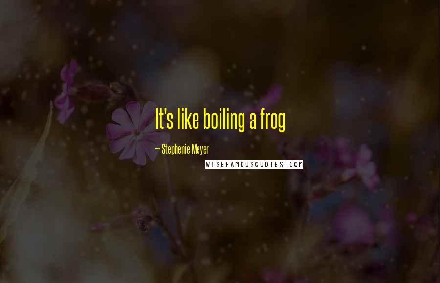 Stephenie Meyer Quotes: It's like boiling a frog