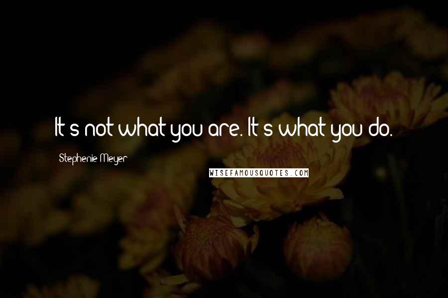 Stephenie Meyer Quotes: It's not what you are. It's what you do.