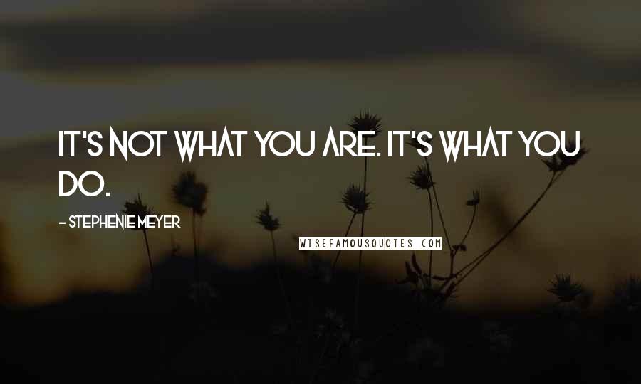 Stephenie Meyer Quotes: It's not what you are. It's what you do.