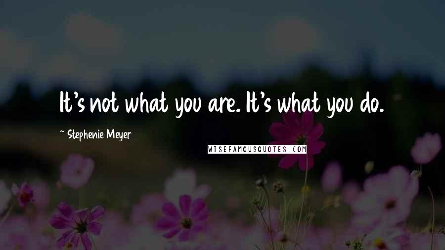 Stephenie Meyer Quotes: It's not what you are. It's what you do.
