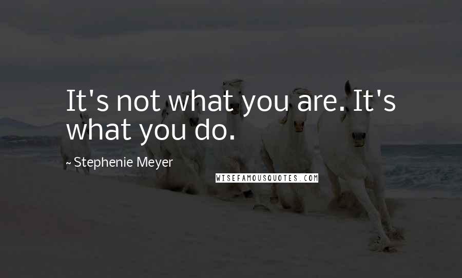 Stephenie Meyer Quotes: It's not what you are. It's what you do.