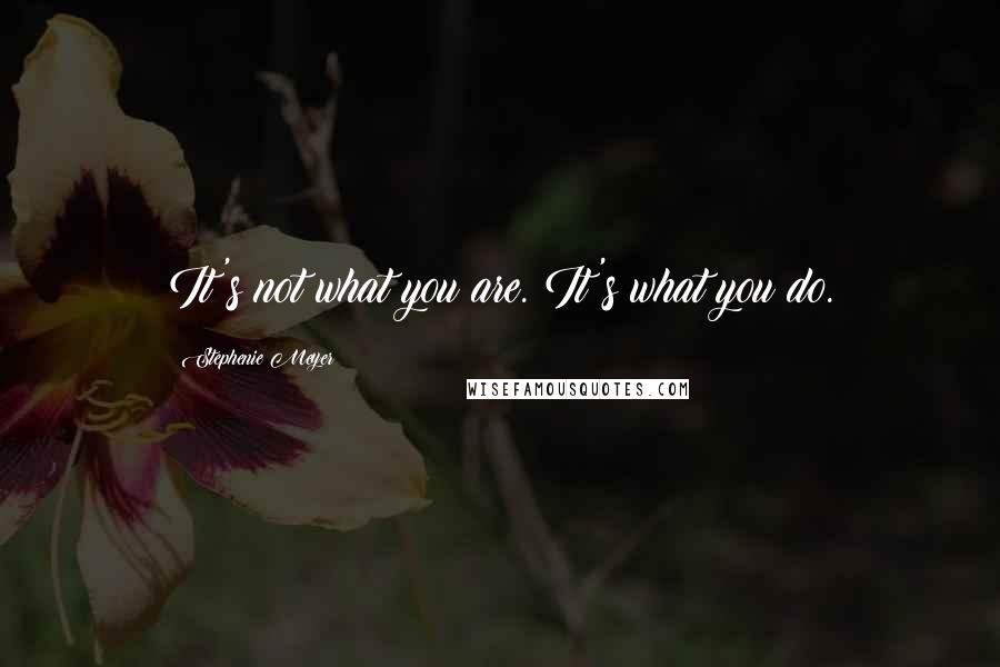 Stephenie Meyer Quotes: It's not what you are. It's what you do.