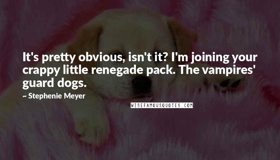 Stephenie Meyer Quotes: It's pretty obvious, isn't it? I'm joining your crappy little renegade pack. The vampires' guard dogs.