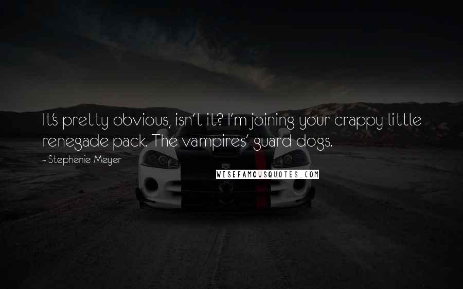Stephenie Meyer Quotes: It's pretty obvious, isn't it? I'm joining your crappy little renegade pack. The vampires' guard dogs.