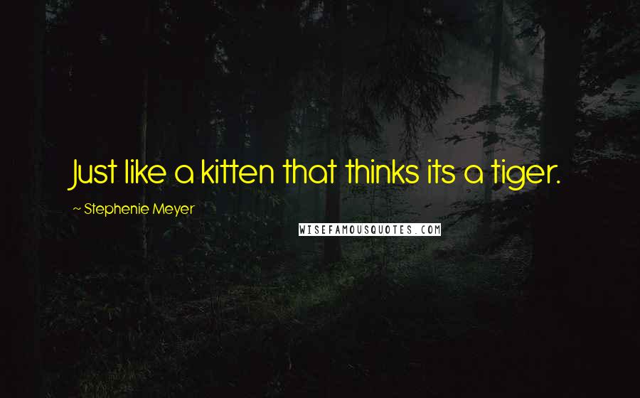 Stephenie Meyer Quotes: Just like a kitten that thinks its a tiger.