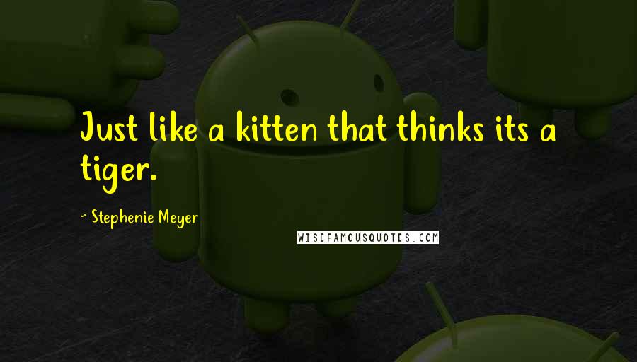 Stephenie Meyer Quotes: Just like a kitten that thinks its a tiger.