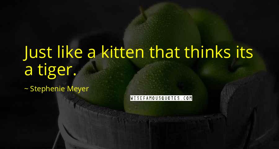 Stephenie Meyer Quotes: Just like a kitten that thinks its a tiger.