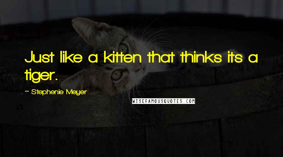 Stephenie Meyer Quotes: Just like a kitten that thinks its a tiger.