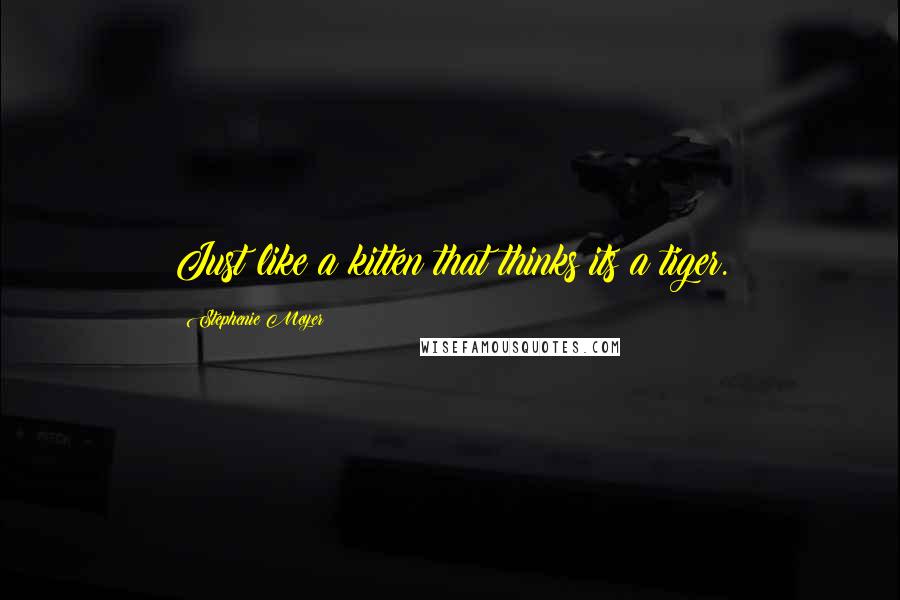 Stephenie Meyer Quotes: Just like a kitten that thinks its a tiger.