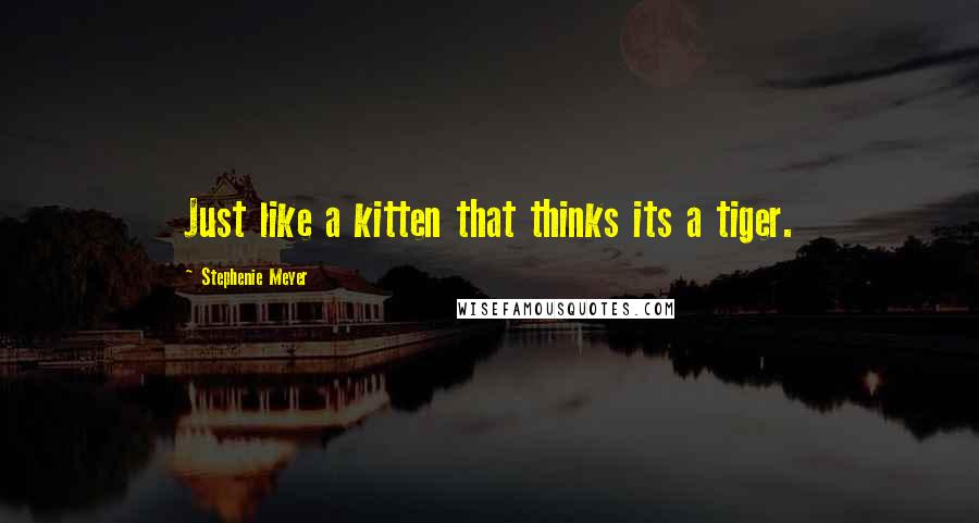 Stephenie Meyer Quotes: Just like a kitten that thinks its a tiger.