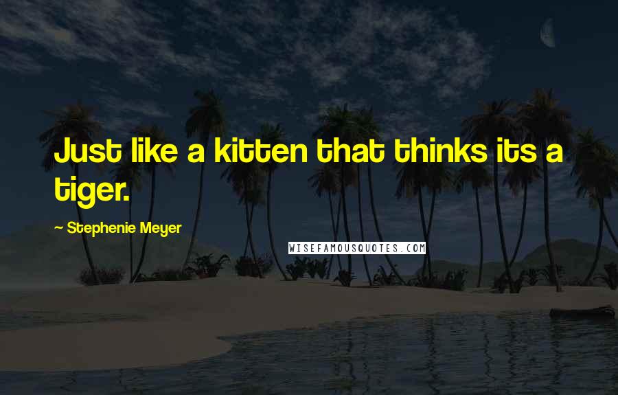 Stephenie Meyer Quotes: Just like a kitten that thinks its a tiger.