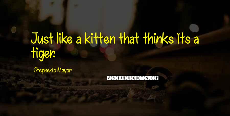 Stephenie Meyer Quotes: Just like a kitten that thinks its a tiger.